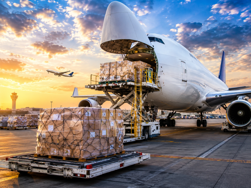  Service Provider of Air Freight Services in New Delhi, Delhi, India. 
